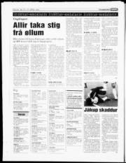 Síða 20