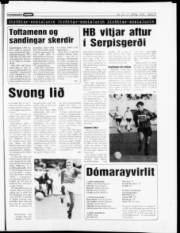 Síða 21