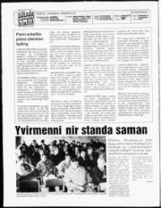 Síða 2