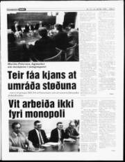 Síða 3