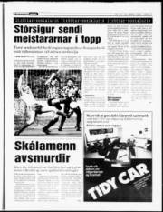 Síða 11