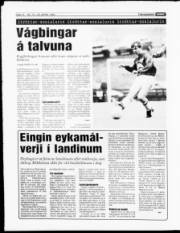 Síða 12