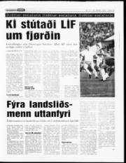 Síða 13