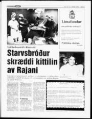 Síða 3