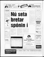 Síða 20