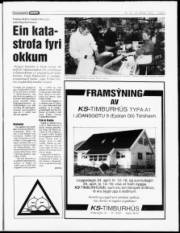 Síða 5