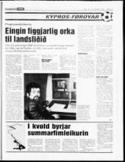 Síða 13