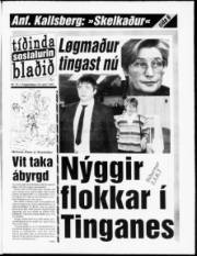 Síða 1