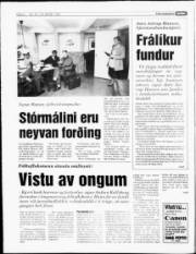 Síða 6