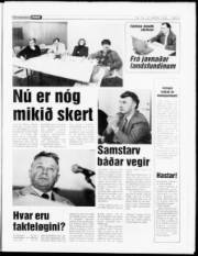 Síða 9
