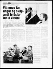 Síða 17