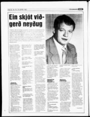 Síða 20