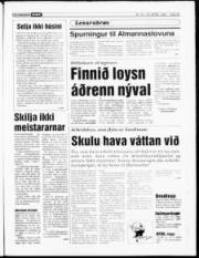 Síða 23