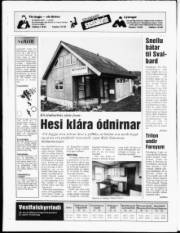 Síða 24