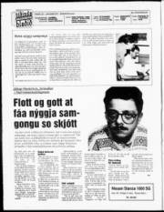 Síða 2