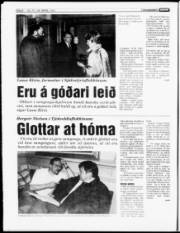 Síða 8