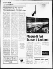 Síða 19