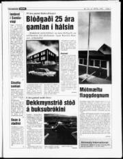 Síða 3