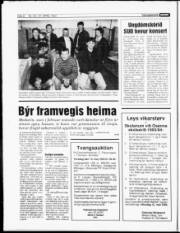 Síða 8
