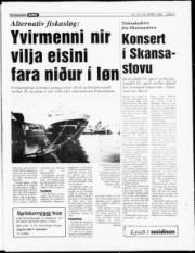 Síða 3
