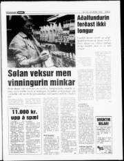 Síða 5