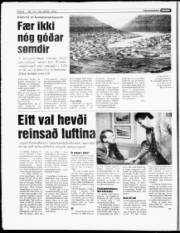 Síða 8