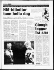 Síða 15
