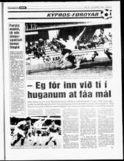 Síða 17