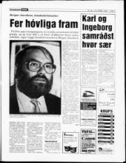 Síða 3