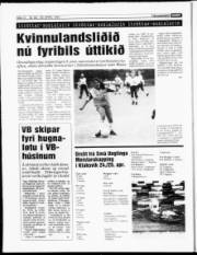 Síða 12