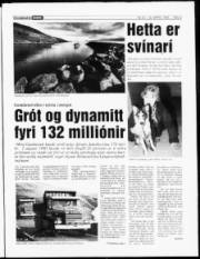 Síða 3
