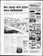 Síða 6