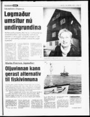 Síða 17