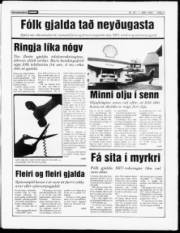 Síða 3
