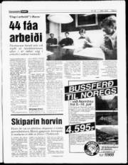 Síða 5