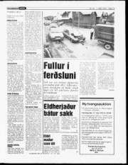 Síða 15