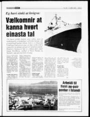 Síða 3
