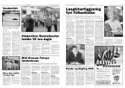 Síða 5