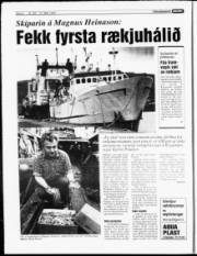 Síða 8