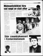 Síða 12