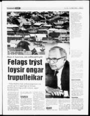 Síða 5