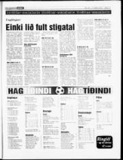 Síða 17