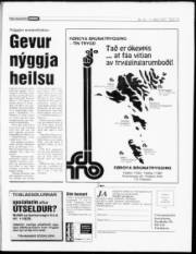 Síða 19