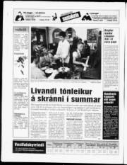 Síða 24