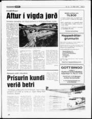 Síða 3