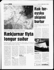 Síða 3