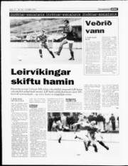 Síða 12