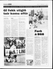 Síða 13