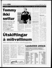 Síða 15