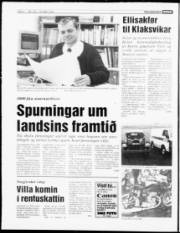 Síða 4